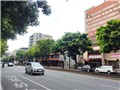 金山南路二段200號
